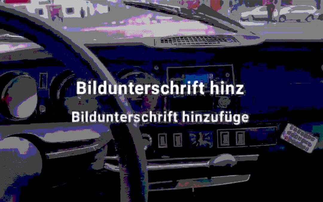 Direkt aus Wien (Video von Florian) 2/12/2020